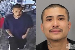 Wanted fugitive located by SJPD weeks after arrest of partner in crime