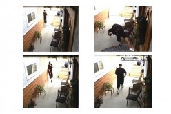 Thief Steals Package on Doorstep, Caught by Camera