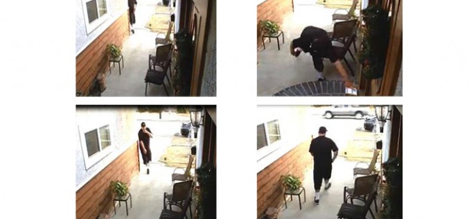 Thief Steals Package on Doorstep, Caught by Camera