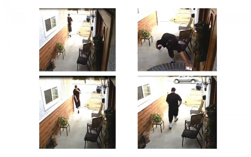 Thief Steals Package on Doorstep, Caught by Camera