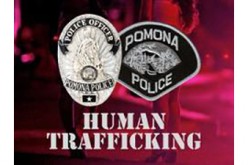 Six Arrested for Prostitution