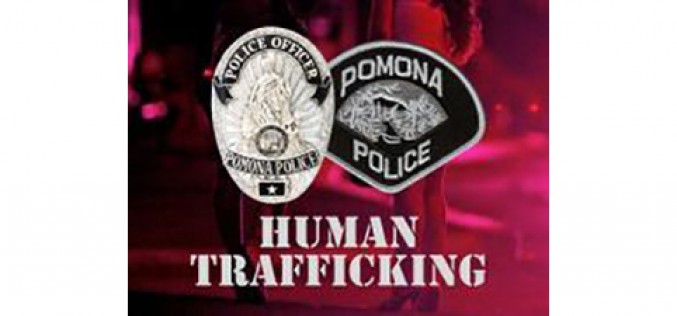 Six Arrested for Prostitution