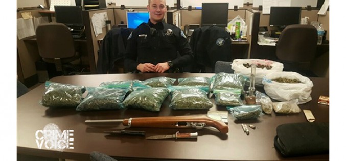 Marijuana and Gun Discovered During Routine Traffic Stop