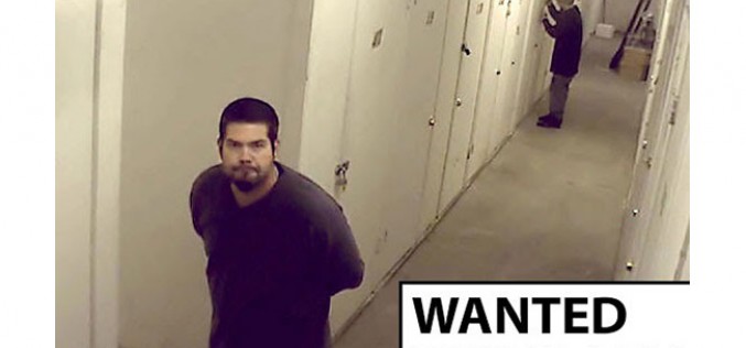 Surveillance Footage Spots Storage Unit Thieves (Video)