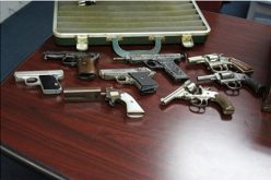 Cops Bust 20 on Drugs & Guns