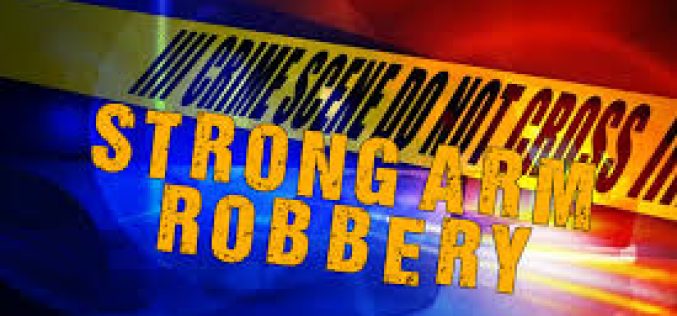 Strong Arm Robbery Reported in Sunnyvale