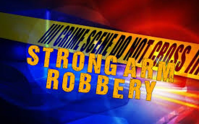 Strong Arm Robbery Reported in Sunnyvale