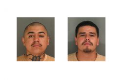 Watsonville Gang Members Tied to Shooting in Capitola