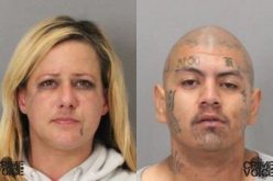 Milpitas Police Arrest Four Car Theft Suspects