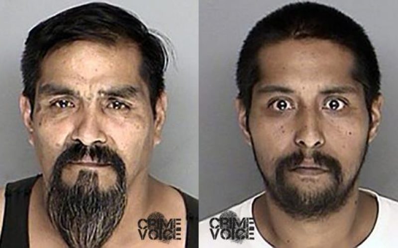 Father-Son Felons Busted with Guns