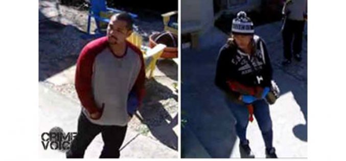 Palo Alto Police seek brazen day time burglars