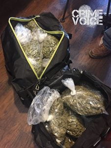 Police display processed marijuana