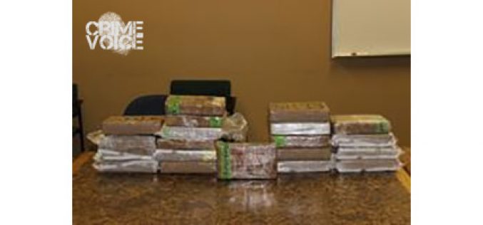 $6.8 Million Drug Bust