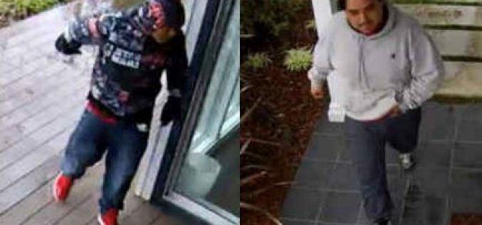 Palo Alto Police seek suspects in two burglaries