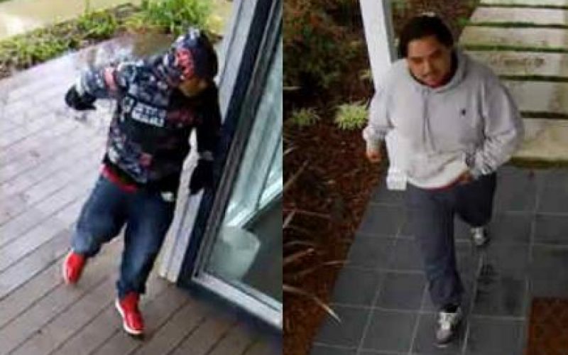 Palo Alto Police seek suspects in two burglaries