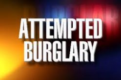 Palo Alto Police arrest multiple teen suspects in attempted burglary