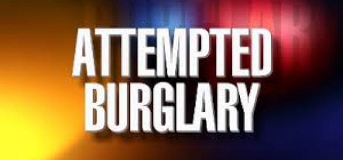 Palo Alto Police arrest multiple teen suspects in attempted burglary