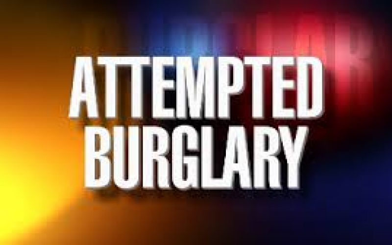 Palo Alto Police arrest multiple teen suspects in attempted burglary