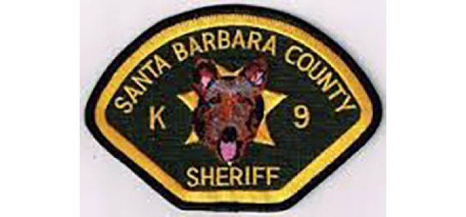 K-9 Cop Nabs Barricaded Suspect