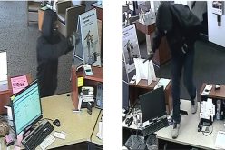 Police on the Hunt for “Smash n’ Grab” Robber