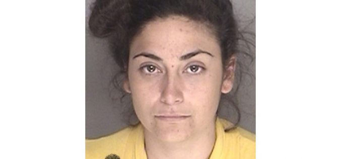 Burglary Leads to Numerous Charges