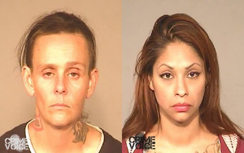 FPD Reports Similar Stories of Auto Theft Arrests