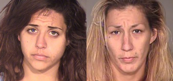 Multiple Charges for Lady Car Burglars