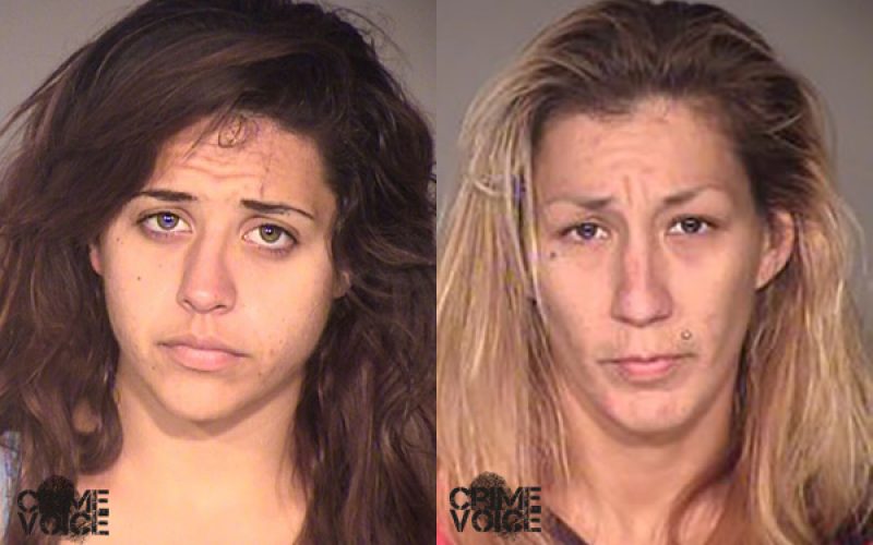 Multiple Charges for Lady Car Burglars