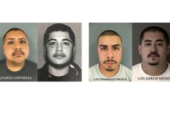 Four Arrested in Hollister Murder Investigation