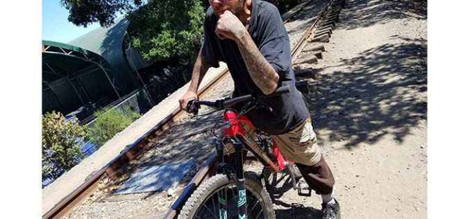 Grand Theft Suspect Arrested after Two Bikes Stolen