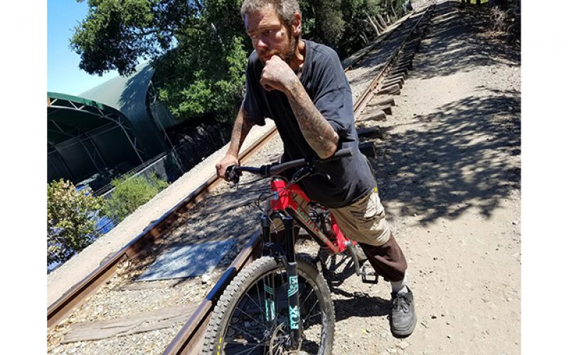 Grand Theft Suspect Arrested after Two Bikes Stolen