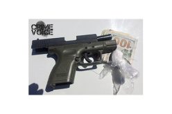 Various Searches Yield Gun, Drugs