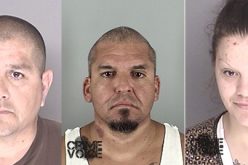 Five Busted on Guns & Drug Violations