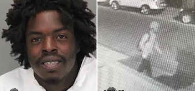 Arson suspect sought in four suspect fires