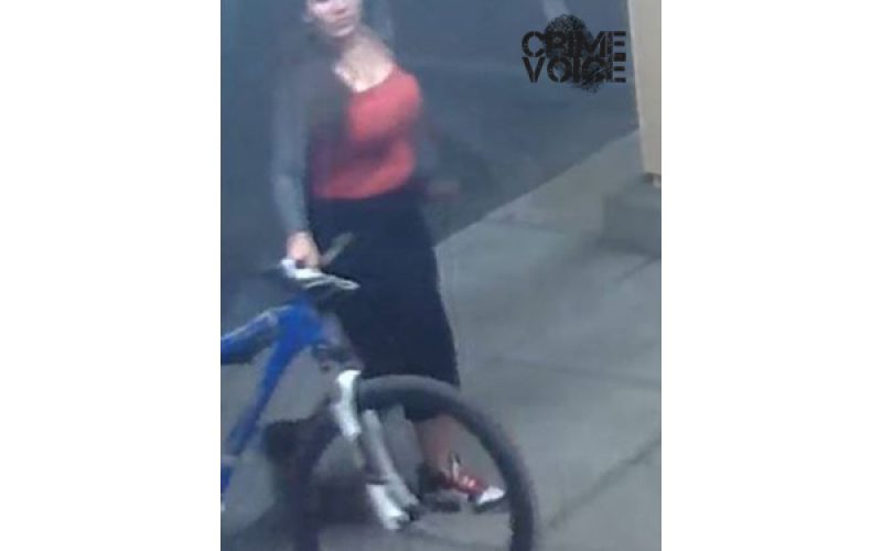 Female suspect sought in attempted murder/robbery