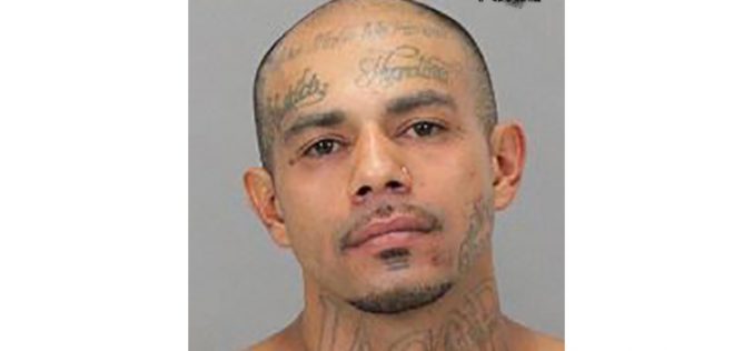 SJPD officer-involved shooting ends ten day pursuit of wanted felon