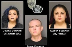 Vehicle Code Stop Yields Three Arrests