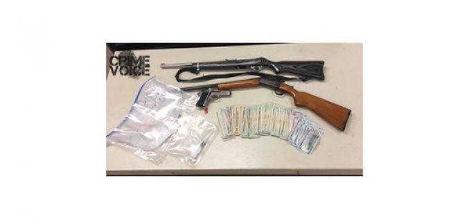 Arrests for Drugs, Guns