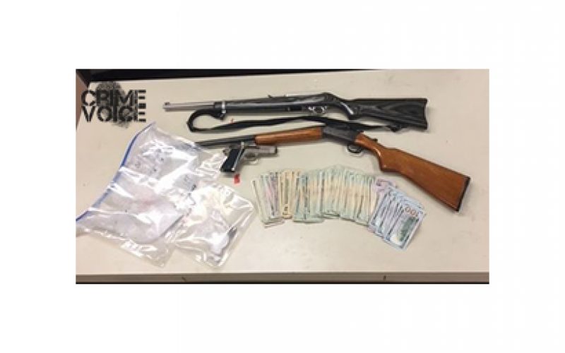 Arrests for Drugs, Guns