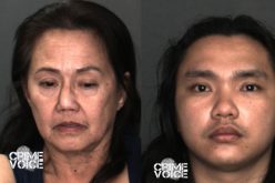 Mother & Son Arrested for Theft & Fraud