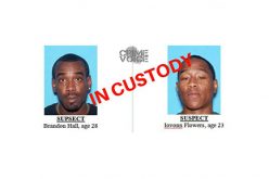 Pair Arrested for Attempted Robbery and Homicide at Pawn Shop