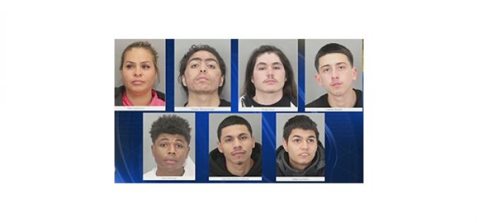 12 members of SJ gang arrested for over 30 violent robberies, carjackings