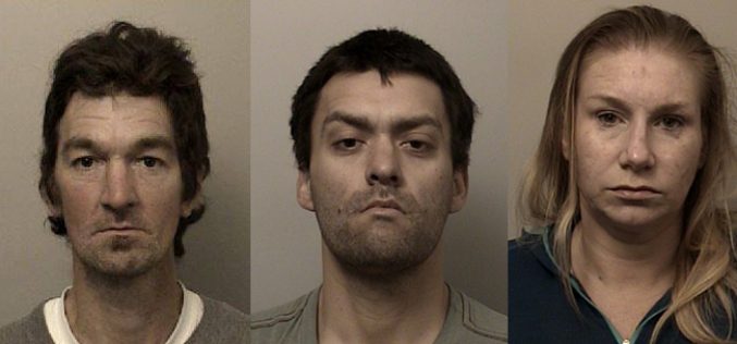 Three arrested after burglary-in-progress report in El Dorado Hills