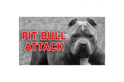 3-Year-Old Mauled by Family’s Pit Bull