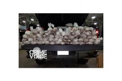 Spare Tire Conceals 65 Packages of Meth Seized at the Border