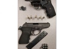 Two Stolen Guns Recovered in Car