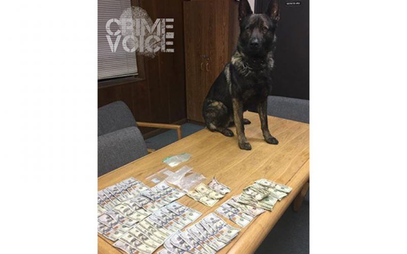 K-9 Kai Helps Arrest 3 for Drugs