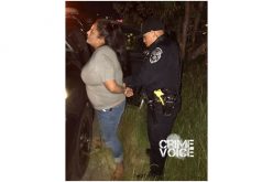 Numerous Drug Arrests on Friday Night