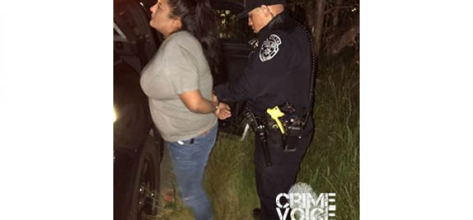 Numerous Drug Arrests on Friday Night