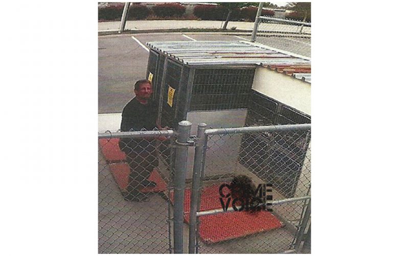 Man Breaks His Lost Dog out From Kennel